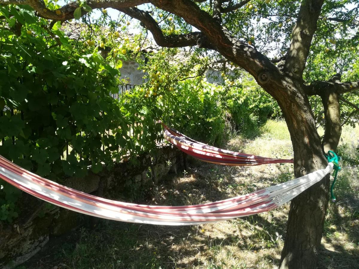 Bed and Breakfast Solar Dos Carvalhos Sernancelhe Exterior foto