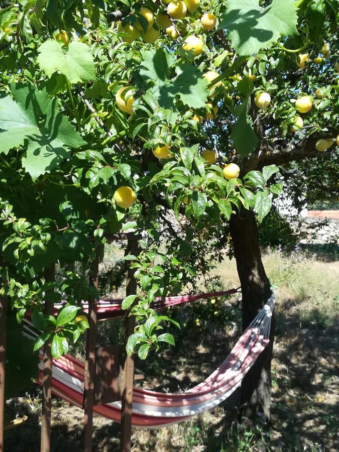 Bed and Breakfast Solar Dos Carvalhos Sernancelhe Exterior foto